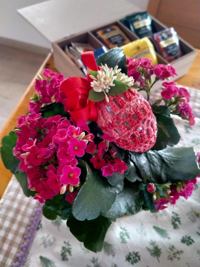Antico Melo B&B Vignole Екстер'єр фото